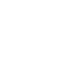 logotipo Flexus a branco